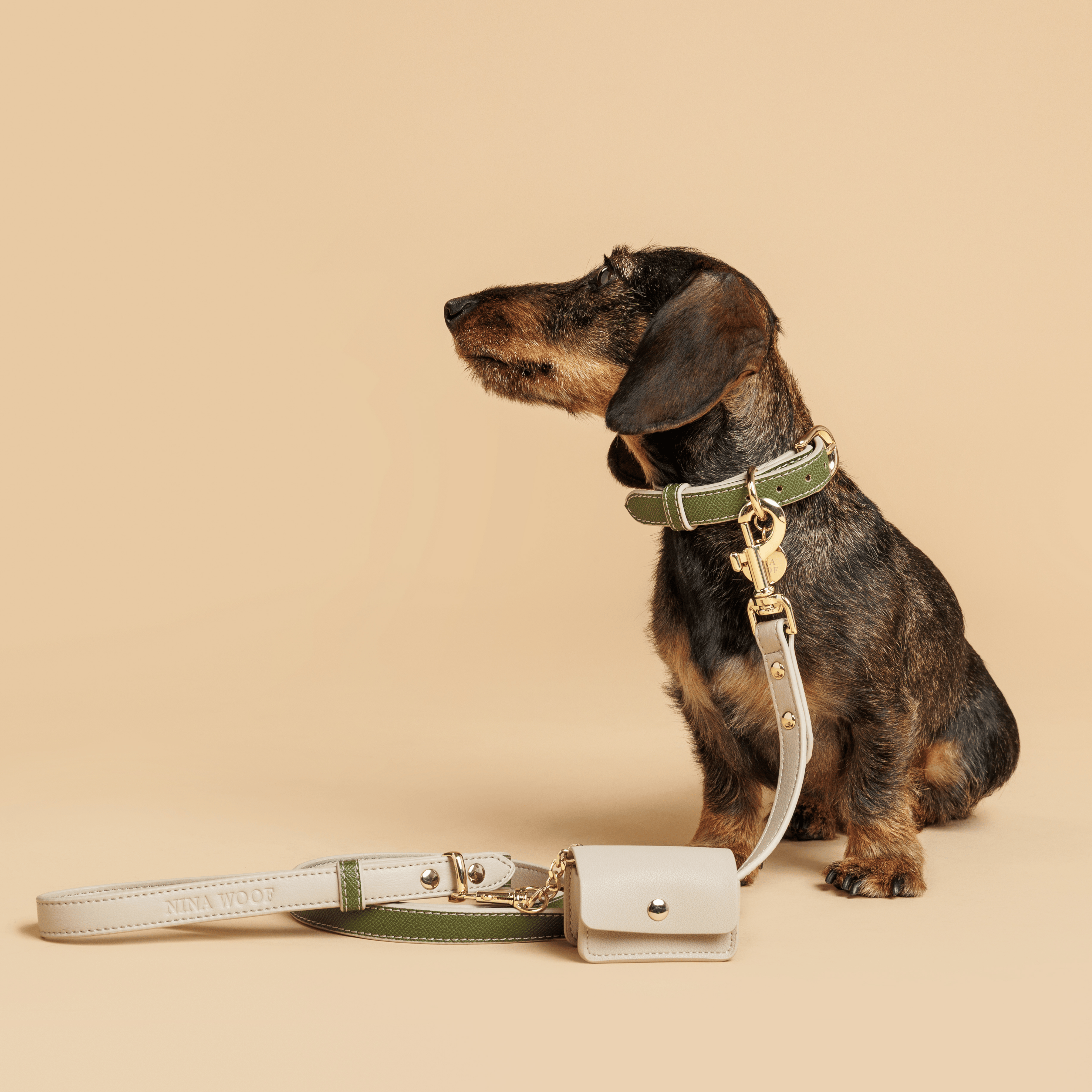 Collar - Vegan Leather - Copenhagen Olive