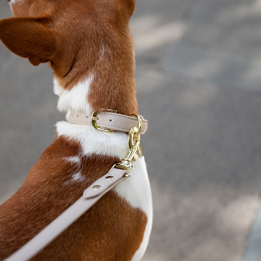 Necklace - Vegan Leather - Rio