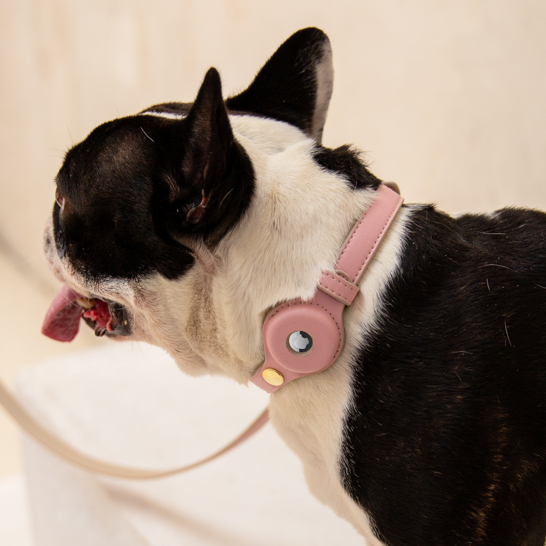 Collar Airtag Rosa Claro