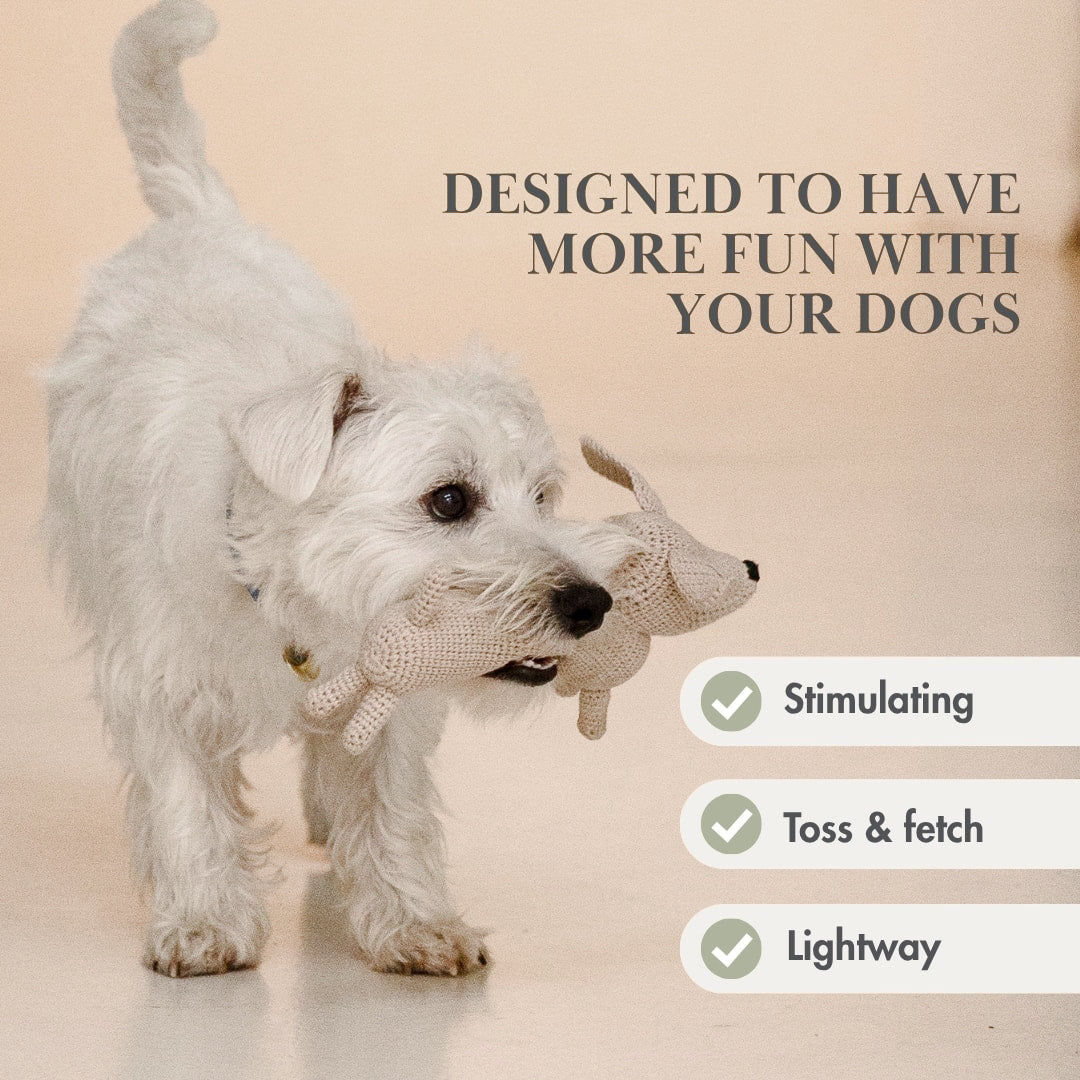 Juguete orgánico para perros