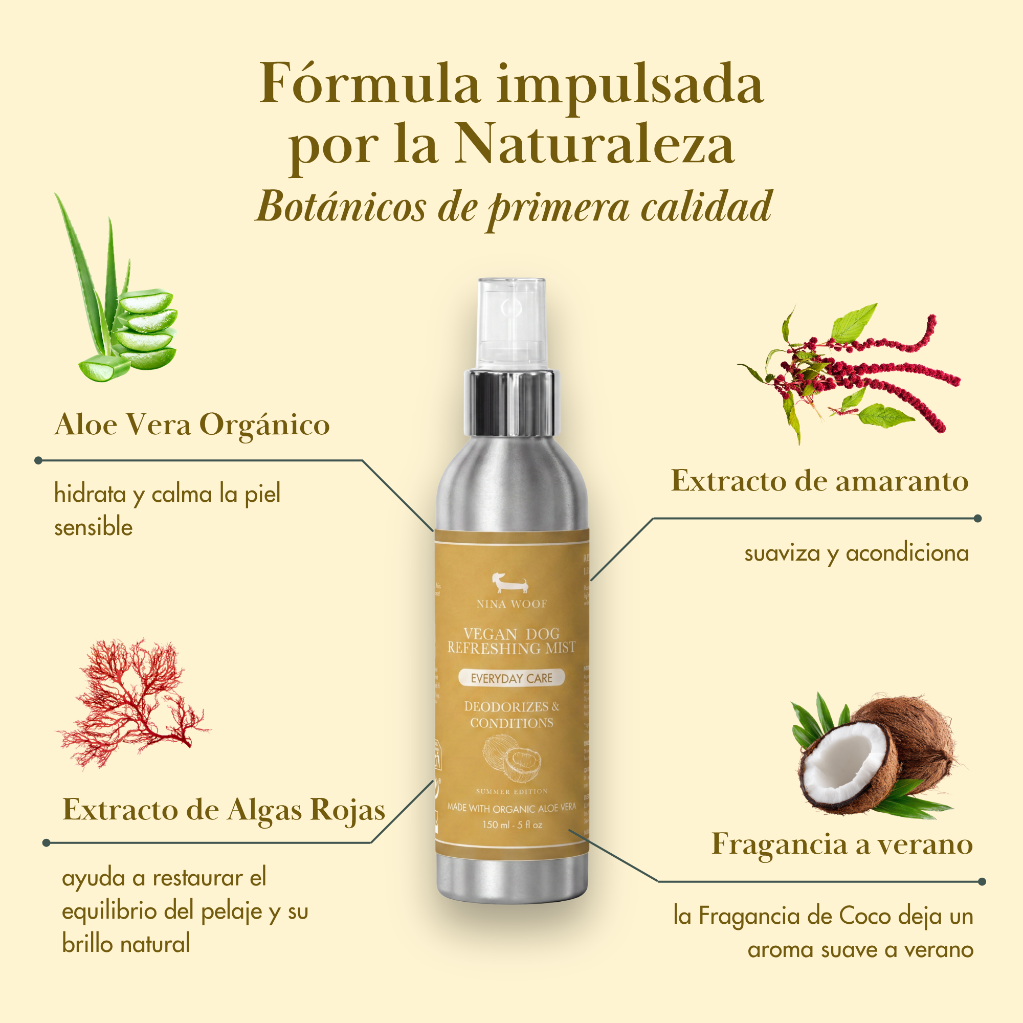 Kit Verano