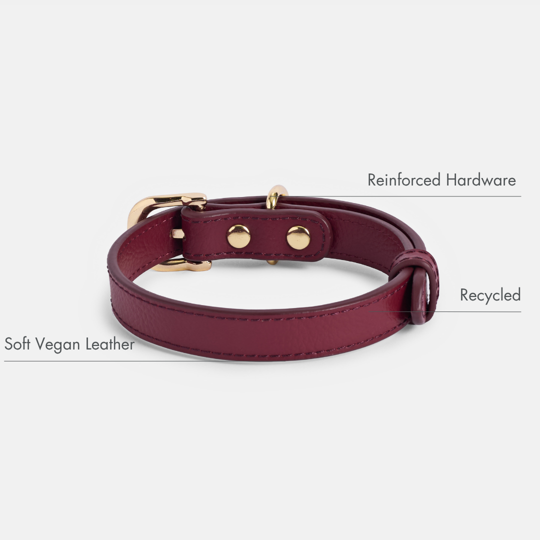 Collar ELEVATE Cherry