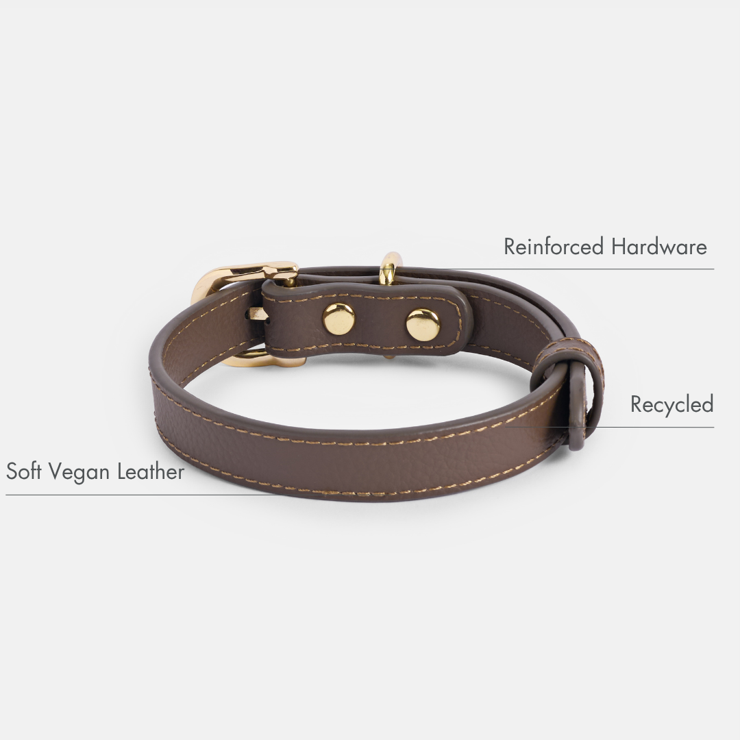 Collar ELEVATE Coffee