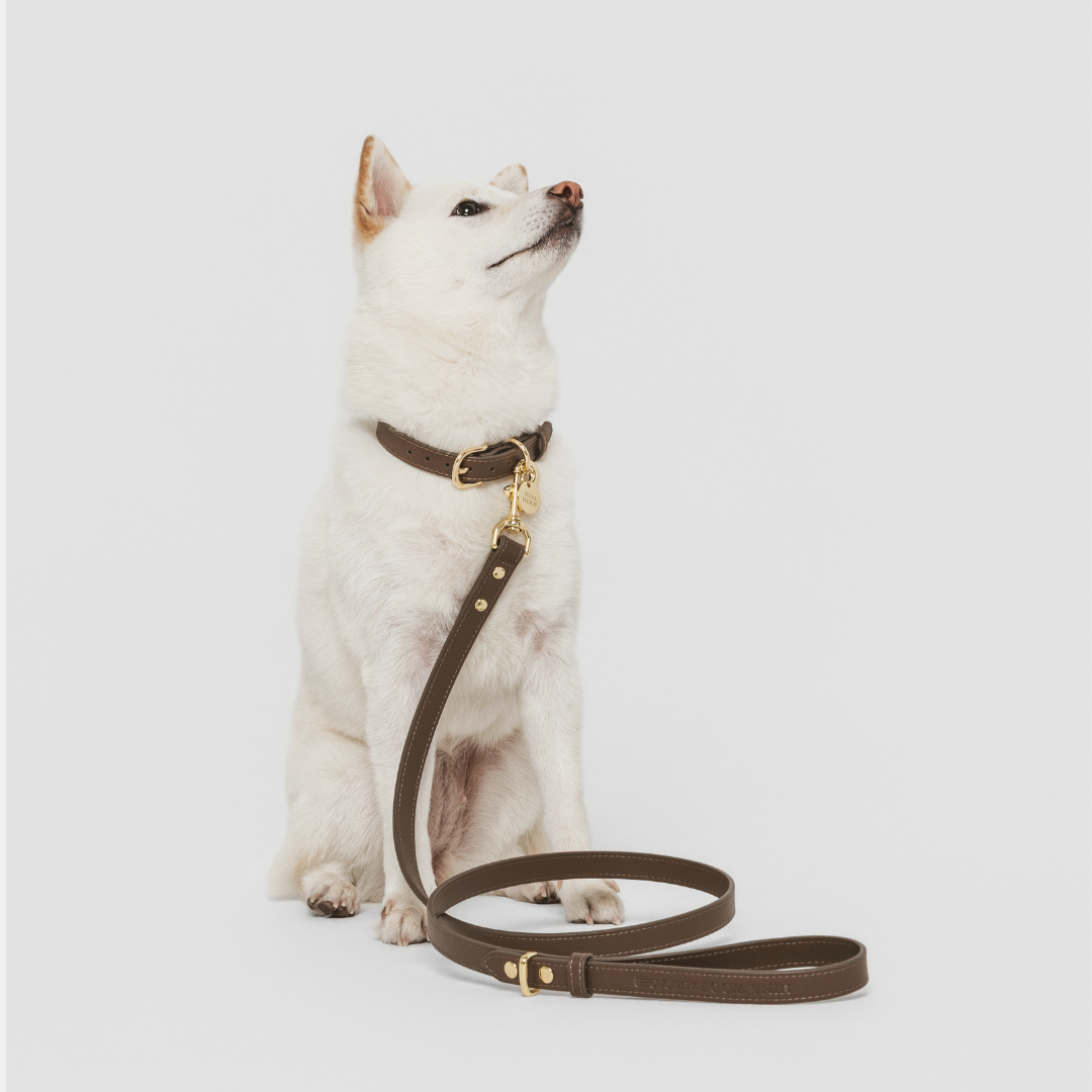 Elevate Coffee Leash