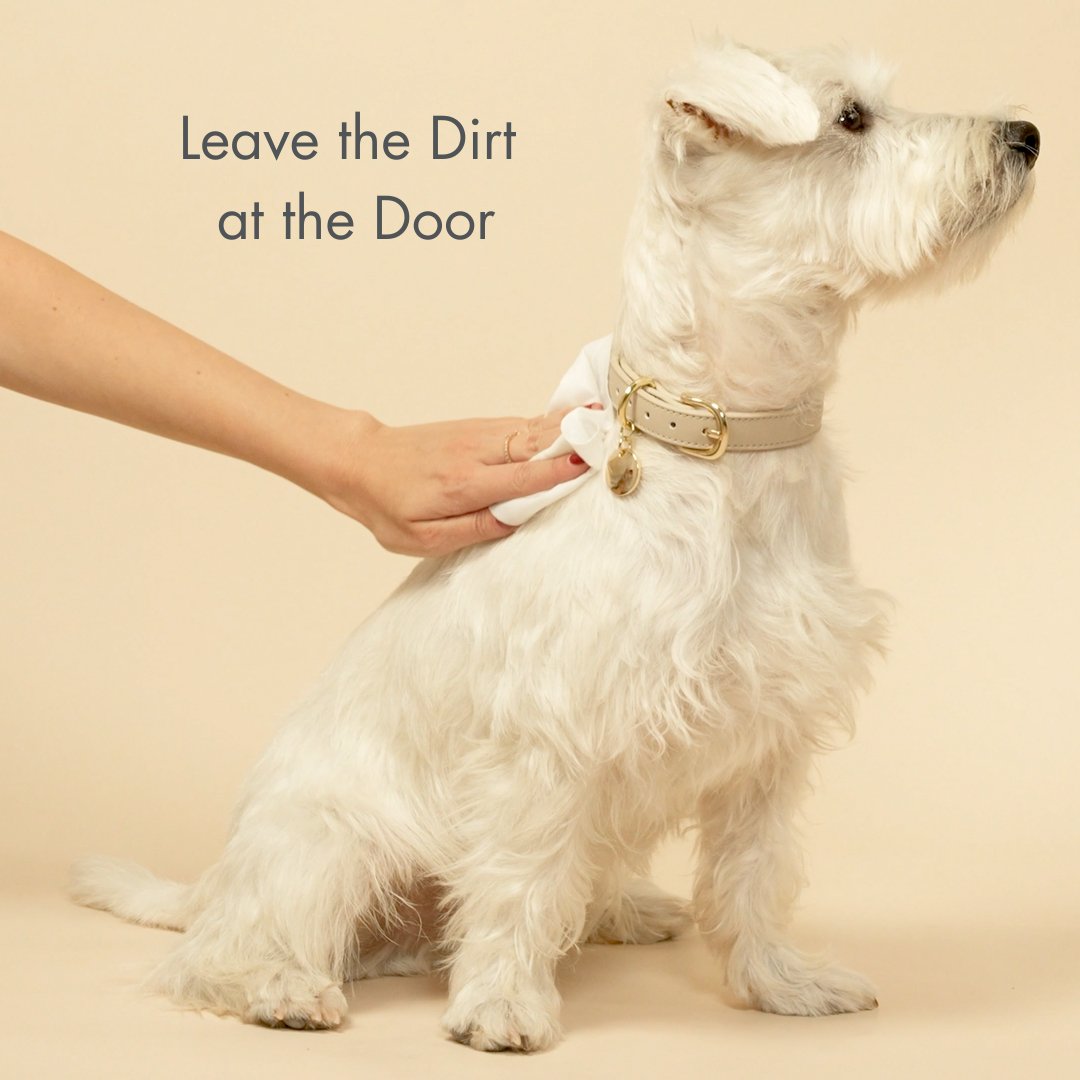 Toallitas Premium Biodegradables para Perros - Veganas, Suaves y de Origen Vegetal