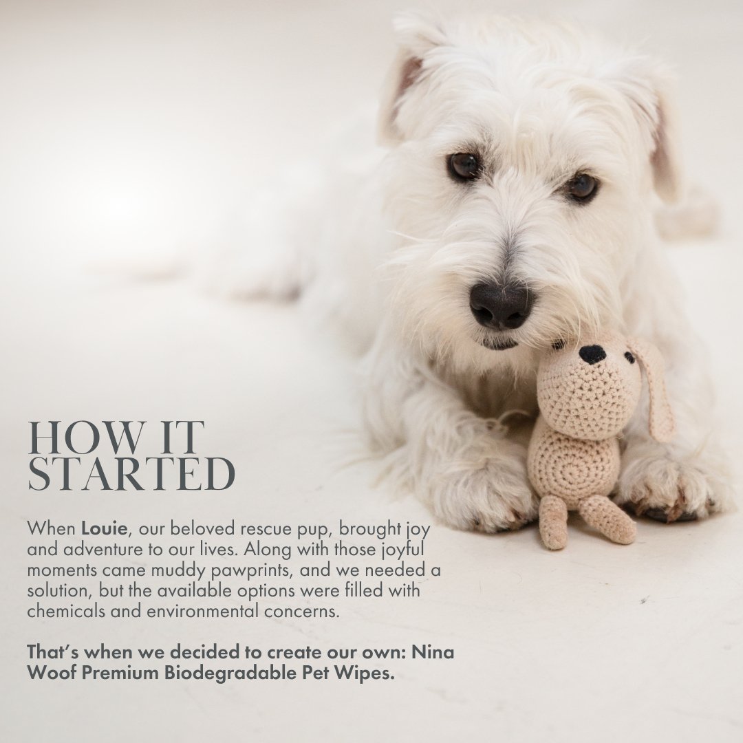 Toallitas Premium Biodegradables para Perros - Veganas, Suaves y de Origen Vegetal