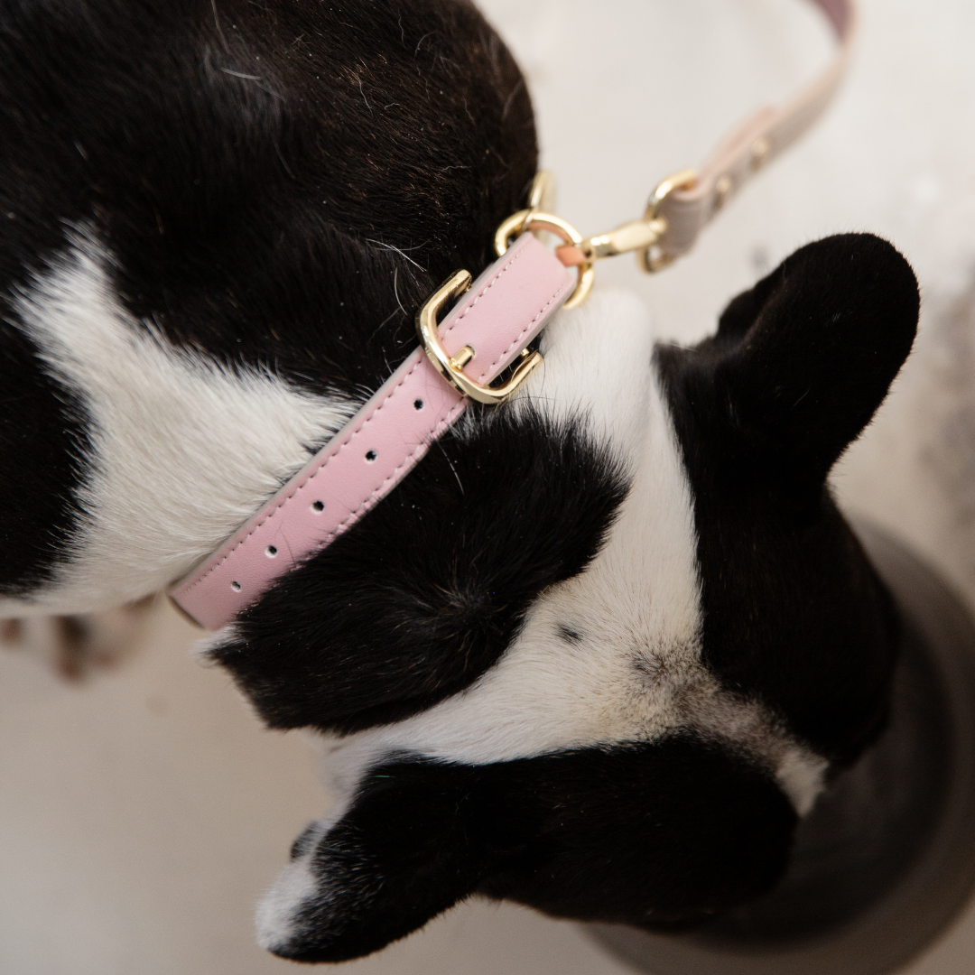 Collar - Compatible con AirTag - Cuero Vegano - Cupertino