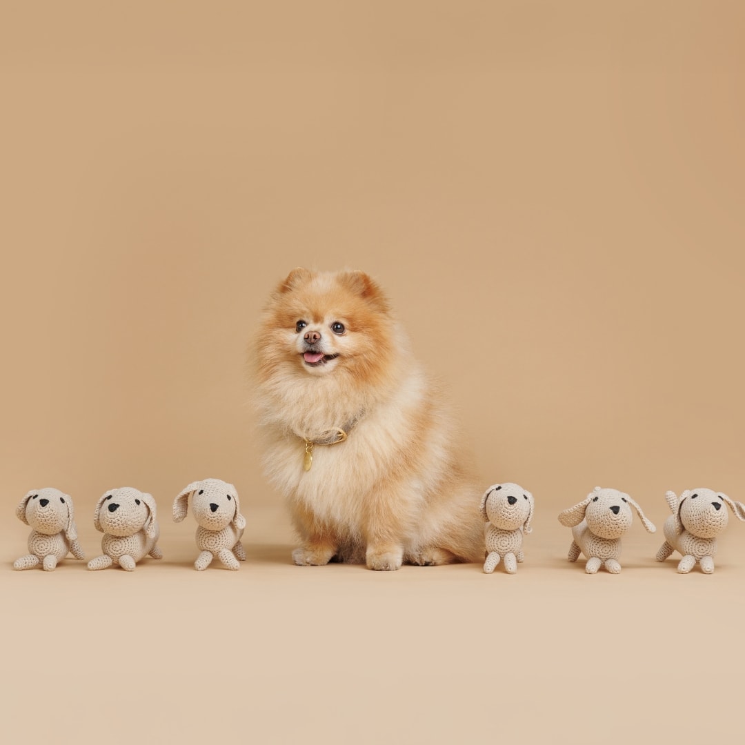 Juguete orgánico para perros