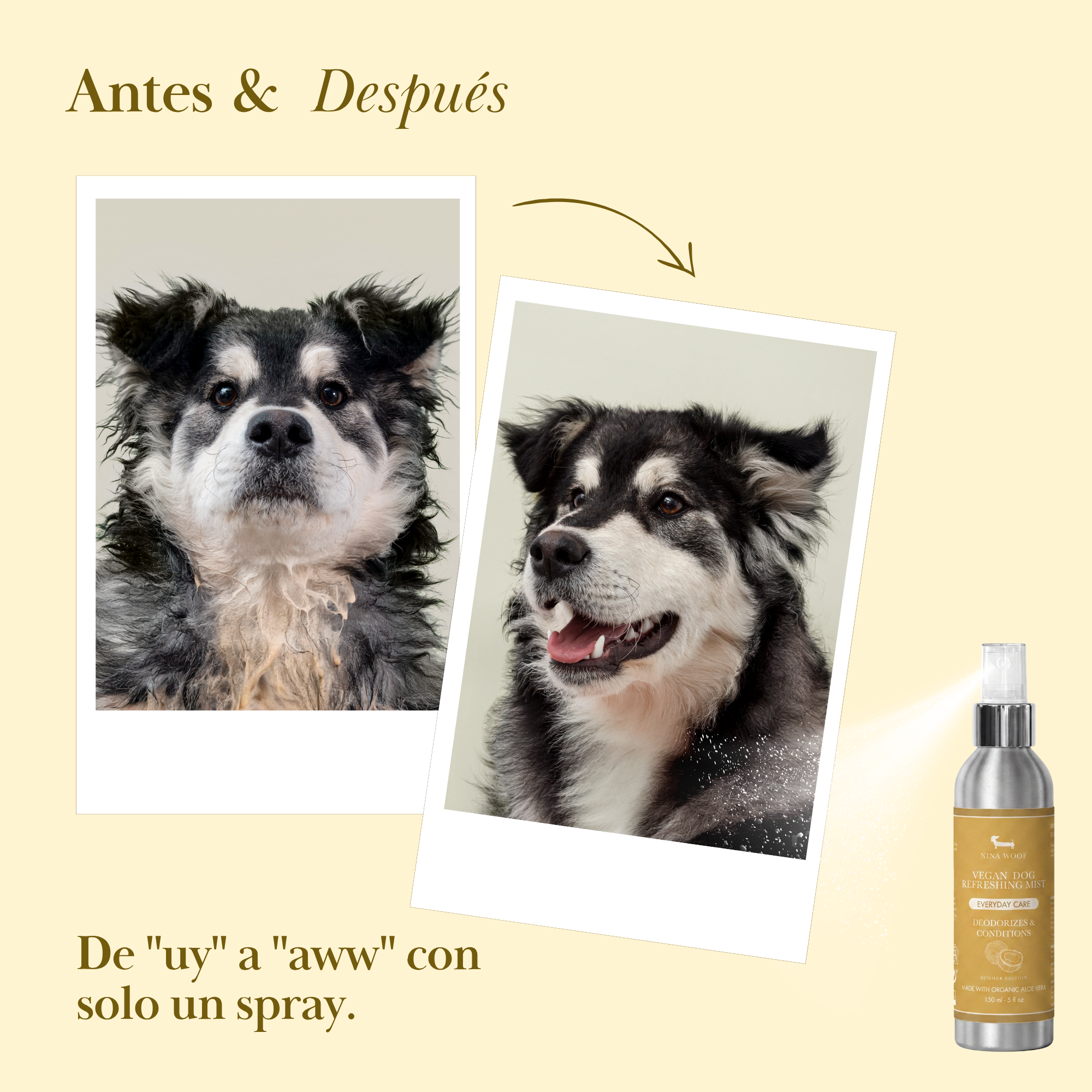 Spray Desodorizante Verano