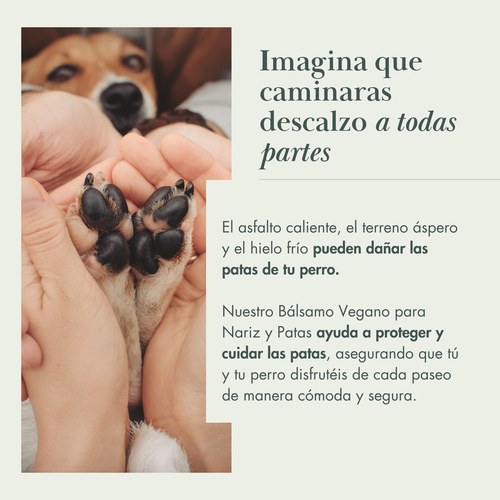 Bálsamo Vegano para Nariz y Almohadillas de Perro