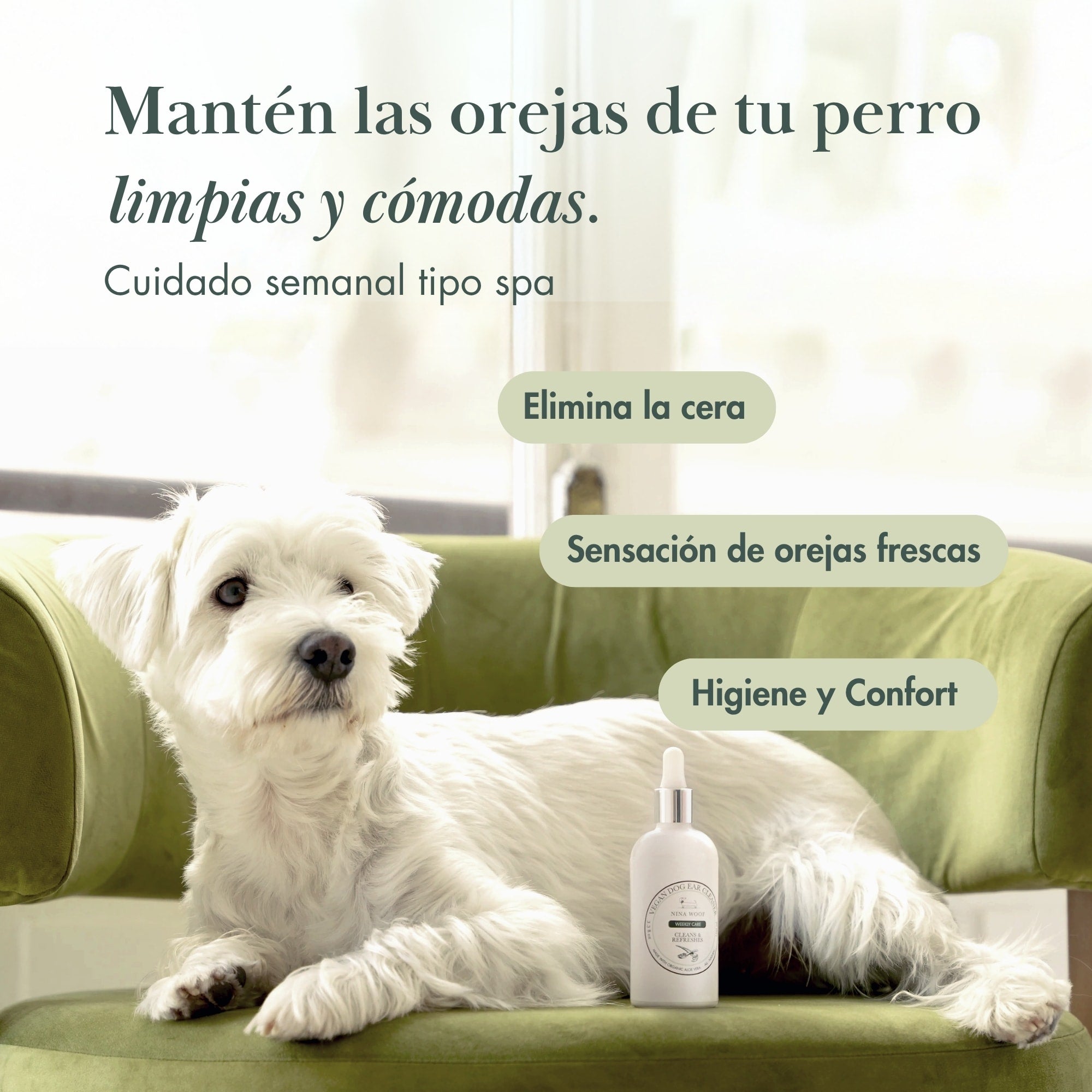 Limpiador de Oídos para Perros -  Eliminador Suave de Olores y Cera