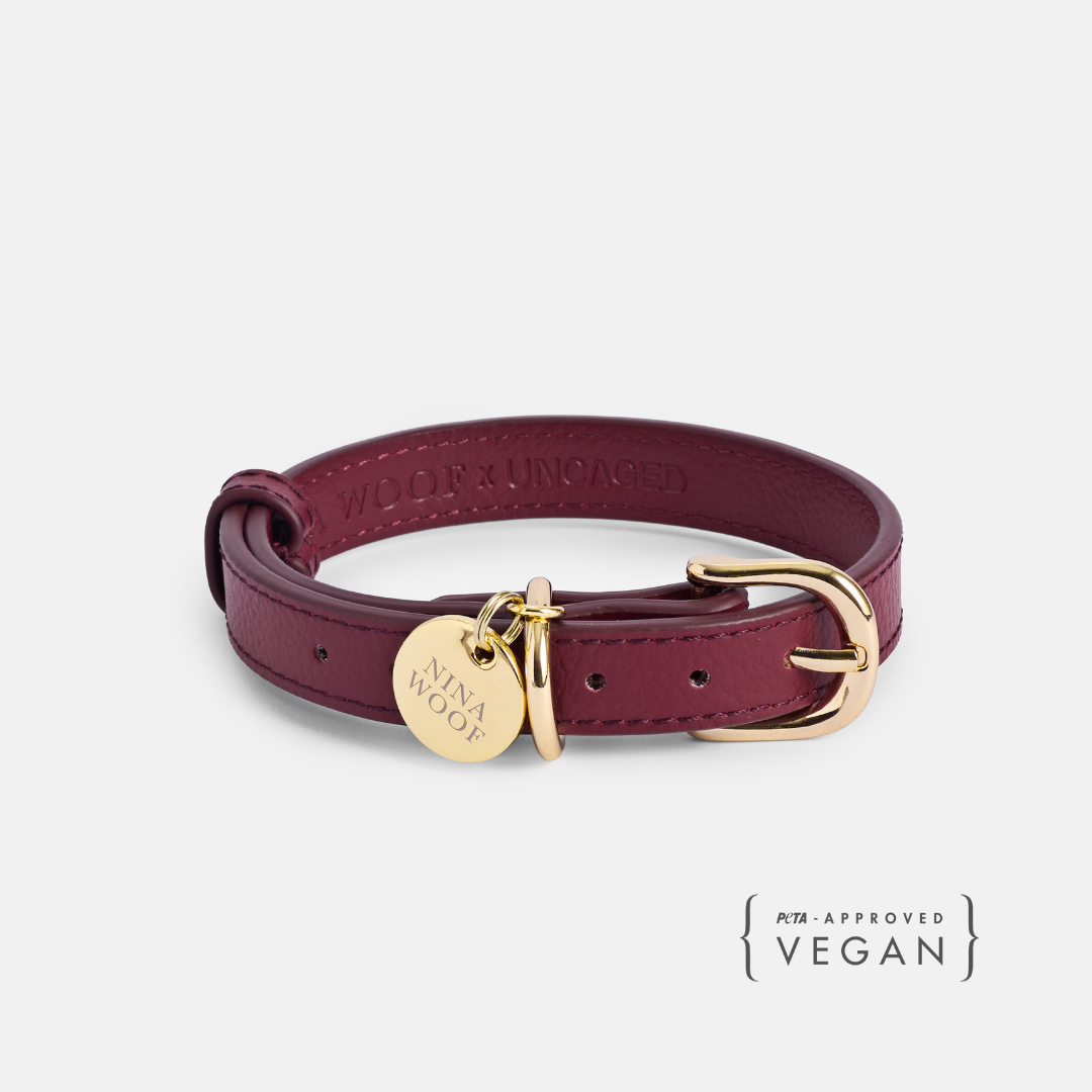 Collar ELEVATE Cherry