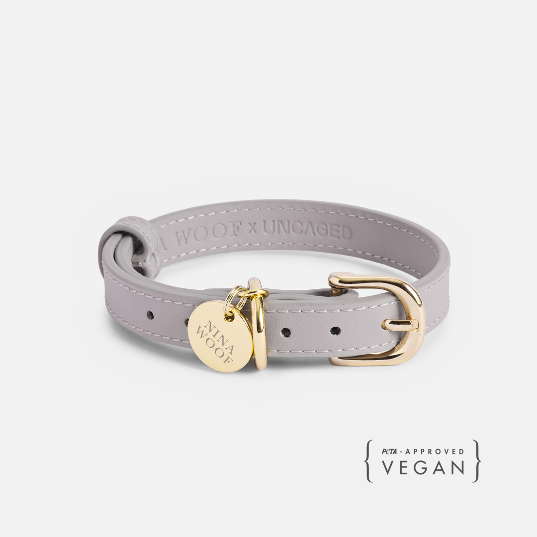 Collar ELEVATE Cloud
