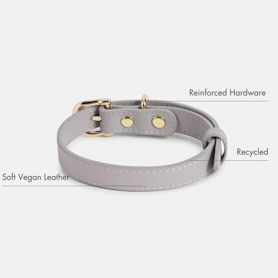 Collar ELEVATE Cloud