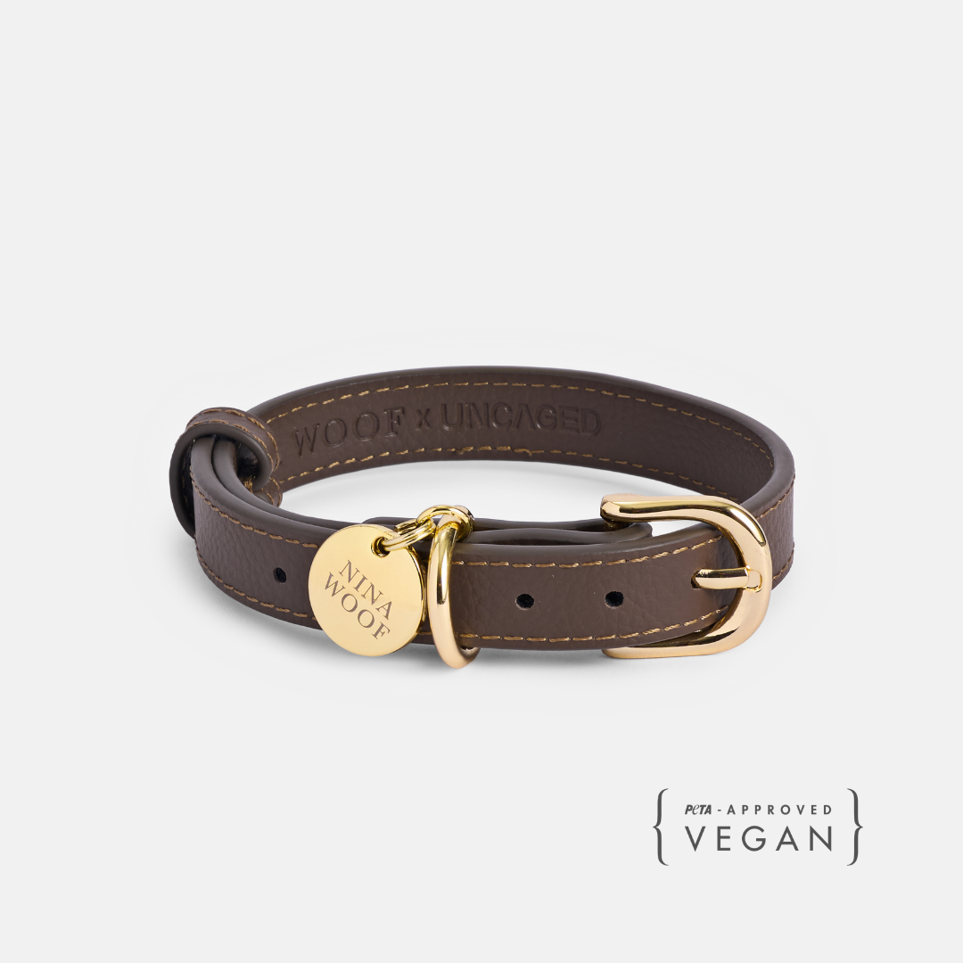 Collar ELEVATE Coffee