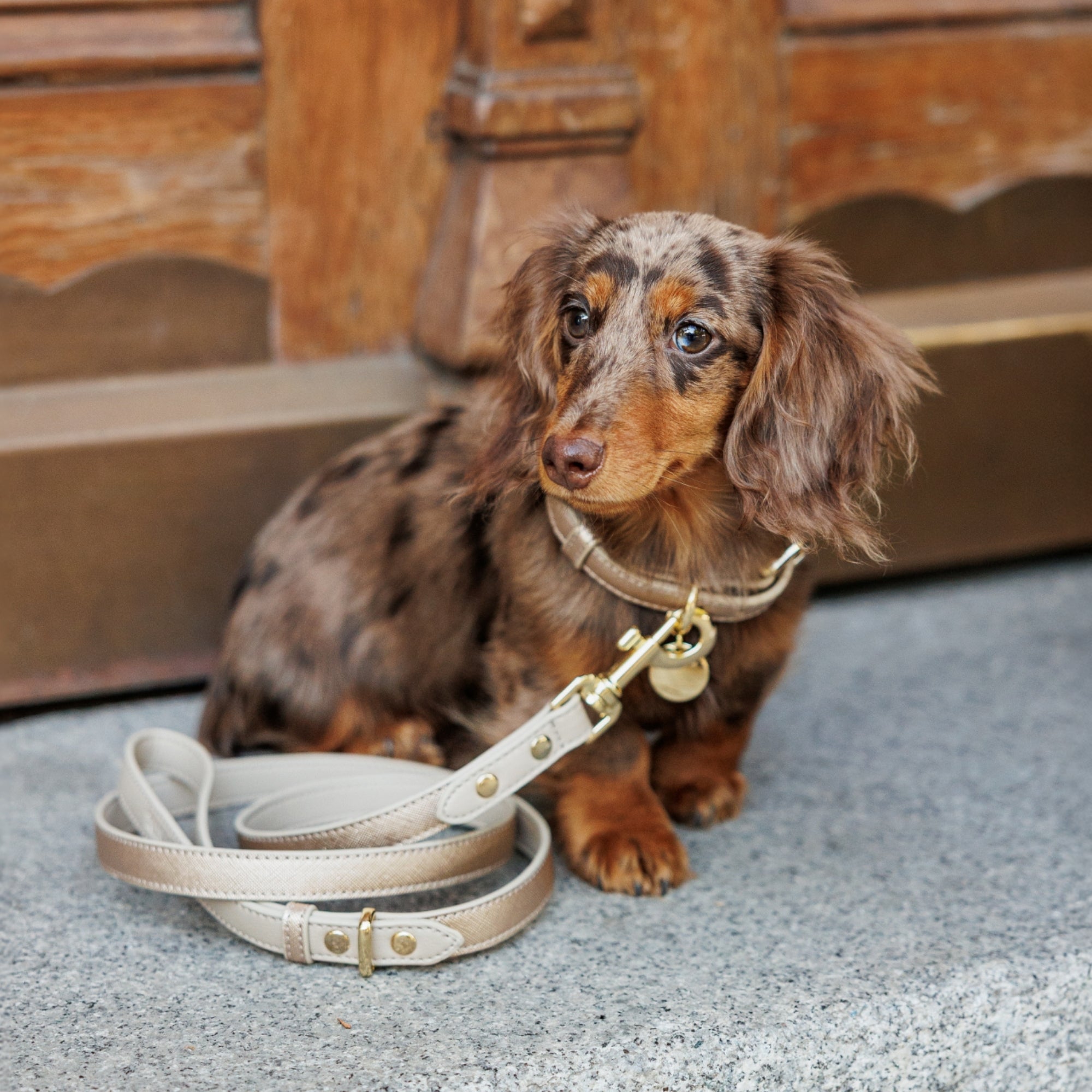Correa 1,2 m - Cuero Vegano - Rio Dorado