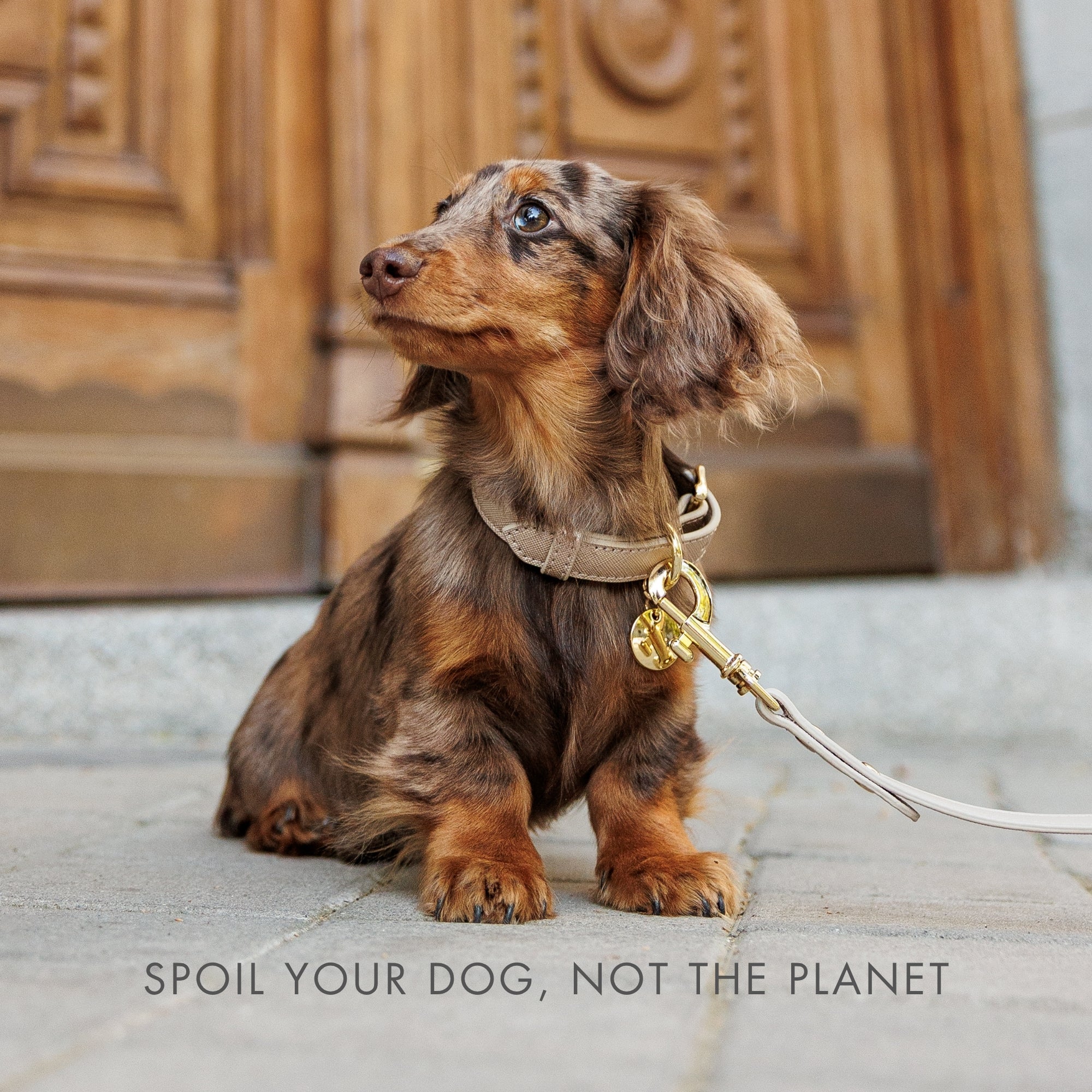 Correa 1,2 m - Cuero Vegano - Rio Dorado